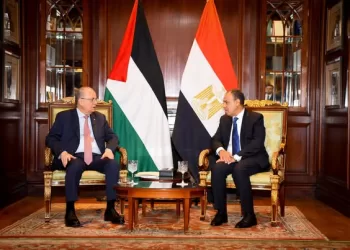 FM reaffirms unwavering support for legitimate, inalienable rights of Palestinians
