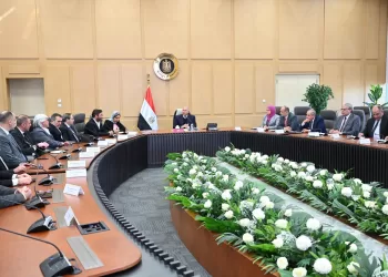 Cairo, Ankara strengthen industrial co-operation