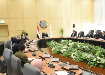 Egypt, World Bank discuss implementation of number of industrial, transport projects