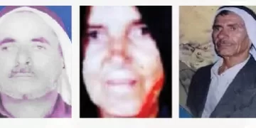 Sinai people’s contributions to 1973 victory