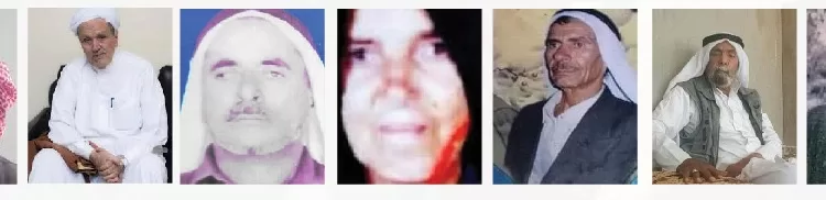 Sinai people's contributions to 1973 victory 1 - Egyptian Gazette