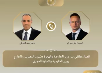 Egypt, Hungary discuss bilateral ties, Arab plan for Gaza recovery