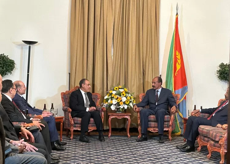 FM delivers message from Sisi to Eritrean president on promoting bilateral relations 1 - Egyptian Gazette
