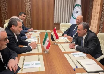 Egypt, Iran FMs discuss regional developments
