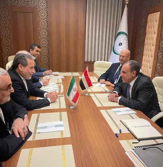 Egypt, Iran FMs discuss regional developments 1 - Egyptian Gazette