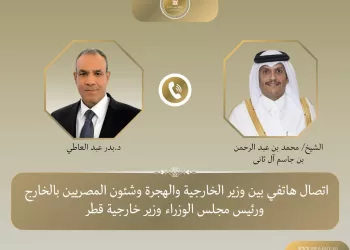 FMs of Egypt, Qatar discuss Gaza ceasefire efforts