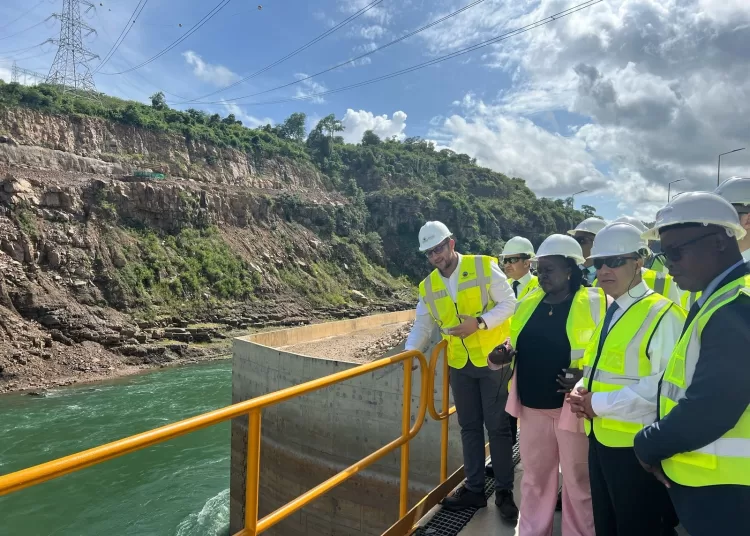 FM inspects Julius Nyerere dam in Tanzania 1 - Egyptian Gazette