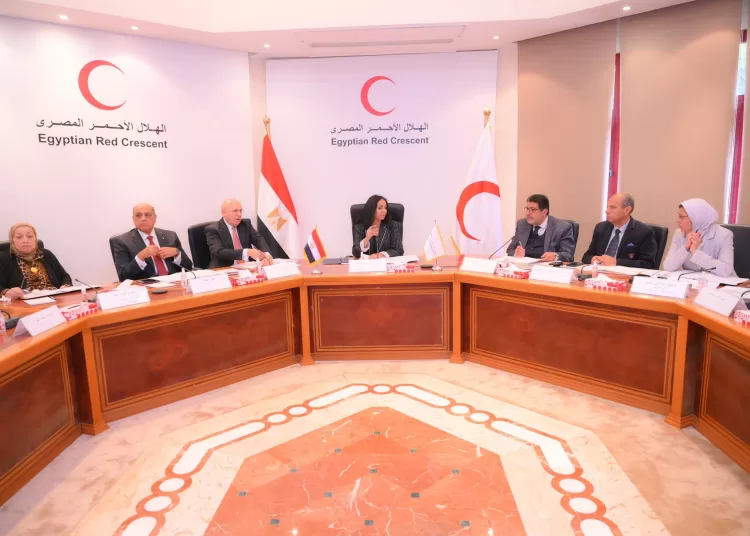 Social Solidarity min. reviews continued efforts to support Gaza 1 - Egyptian Gazette