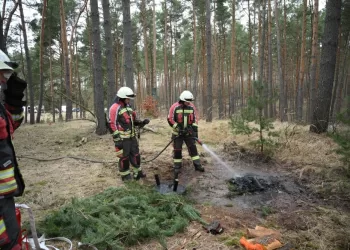 AI-powered drones track down fires in German forests