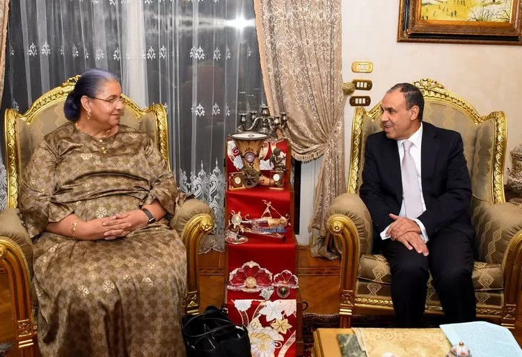 FM stresses need for all foreign forces to leave Libya 1 - Egyptian Gazette Foreign Minister Badr Abdel-Aati during his meeting with Hanna Tetteh, the newly appointed Special Representative of the UN Secretary-General for Libya.