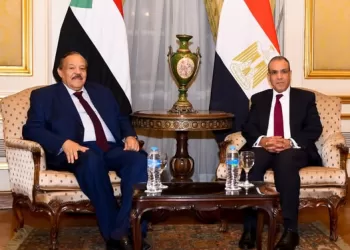 FM asserts Egypt’s support for Sudanese national institutions