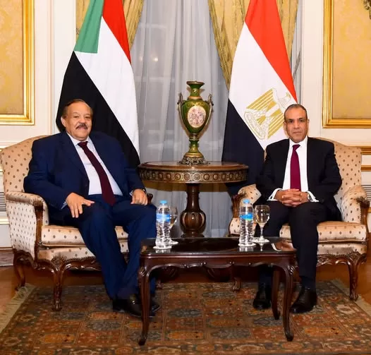 FM asserts Egypt's support for Sudanese national institutions 2 - Egyptian Gazette FM asserts Egypt's support for Sudanese national institutions 1 - Egyptian Gazette