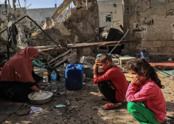 UNICEF: Palestinian children remain deprived of essential supplies, services