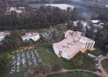 Celebrating sustainability and community impact: SEKEM hosts Carbon Certificate Awards ceremony at its farm in Al Sharqiya