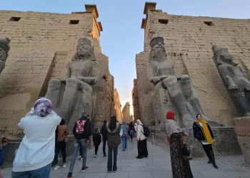 Egypt boosts Africa tourism through investments, private sector  