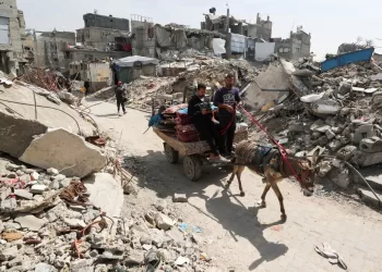 UAE president, Trump discuss Gaza ceasefire efforts, state news agency says