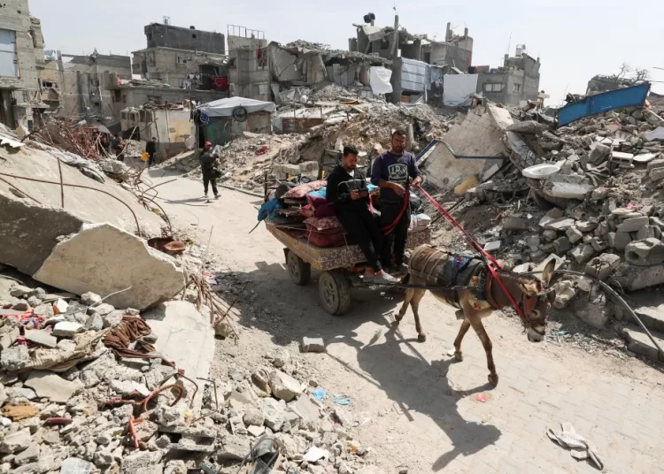 UAE president, Trump discuss Gaza ceasefire efforts, state news agency says 1 - Egyptian Gazette