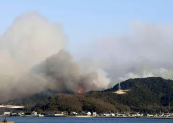Wildfires in western Japan damage homes, force residents to evacuate in at least 2 areas