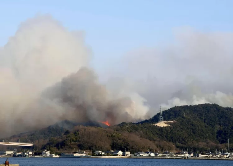 Wildfires in western Japan damage homes, force residents to evacuate in at least 2 areas 1 - Egyptian Gazette