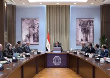 PM: Presidential directives to secure requirements of new land reclamation projects