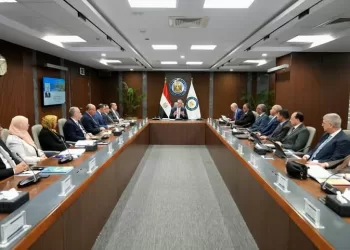 Enppi achieves net profit of LE2.7b in 2024: Petroleum ministry