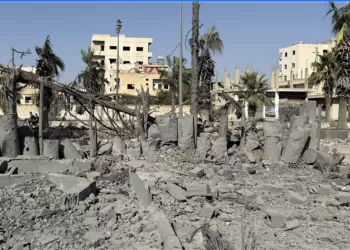 Egypt condemns Israeli bombing of Koya town in Syria