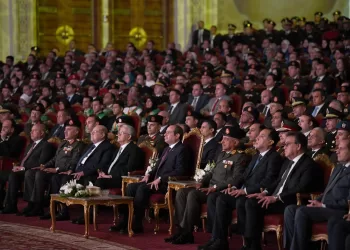 Sisi reiterates firm stance on need to establish Palestinian state, without displacement