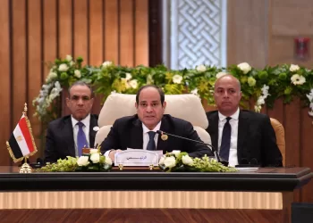 Arab leaders issue Cairo statement on Palestine crisis
