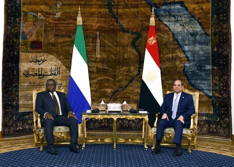 Nile water, Gaza focus of Egypt-Sierra Leone talks 1 - Egyptian Gazette