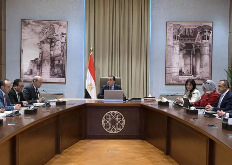 PM follows up on file of offering management, operation of Egyptian airports to private sector 2 - Egyptian Gazette PM follows up on file of offering management, operation of Egyptian airports to private sector 1 - Egyptian Gazette
