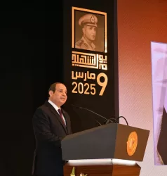 Sisi reiterates firm stance on need to establish Palestinian state, without displacement