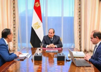President Sisi commends larger resources for social protection, human development  plans