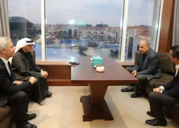 Electricity min. in talks over progress rate of clean energy projects