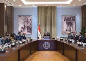 PM reviews green hydrogen, ammonia project in Gulf of Suez