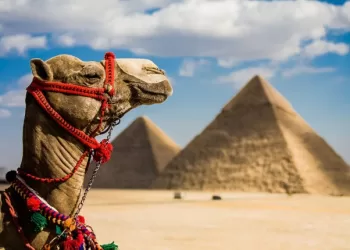 Egypt world’s most variable tourism destination in 2025