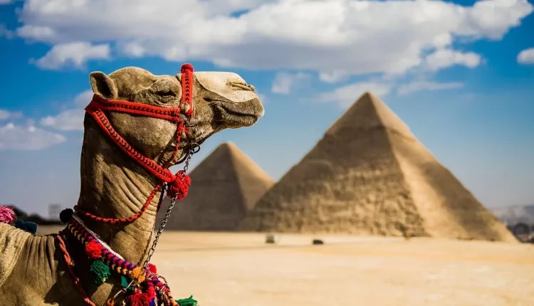 Egypt world's most variable tourism destination in 2025 2 - Egyptian Gazette Egypt world's most variable tourism destination in 2025 1 - Egyptian Gazette