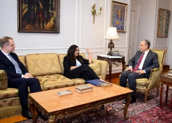 FM affirms importance of boosting trade, investment relations with UK