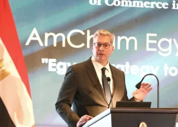 Egypt is important energy hub for ME, Africa, Europe – Min.