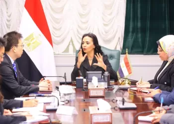 Egypt, Japan discuss joint co-operation