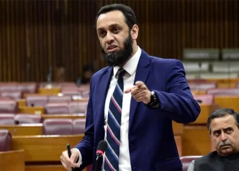 Tarar reaffirms Pakistan’s unwavering support for Palestinians