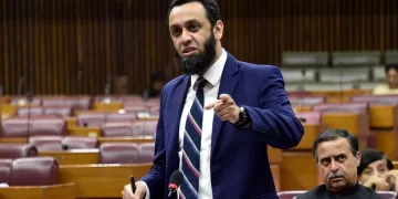 Tarar reaffirms Pakistan’s unwavering support for Palestinians