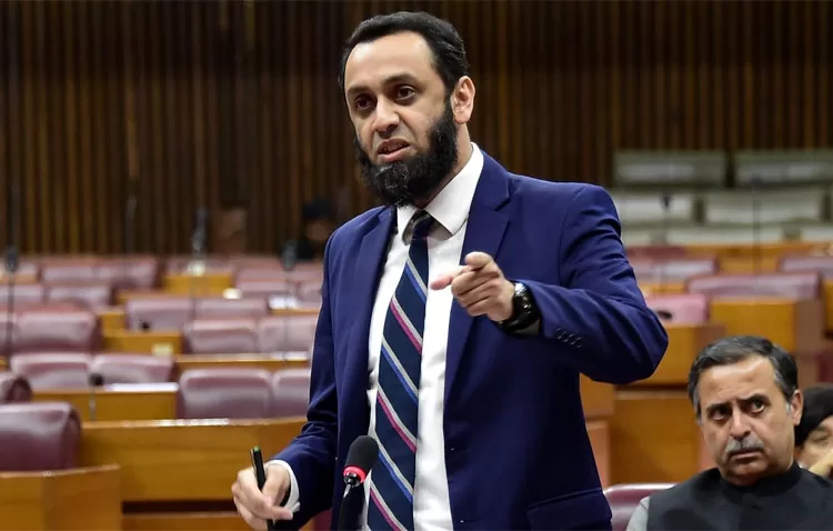 Tarar reaffirms Pakistan's unwavering support for Palestinians 1 - Egyptian Gazette