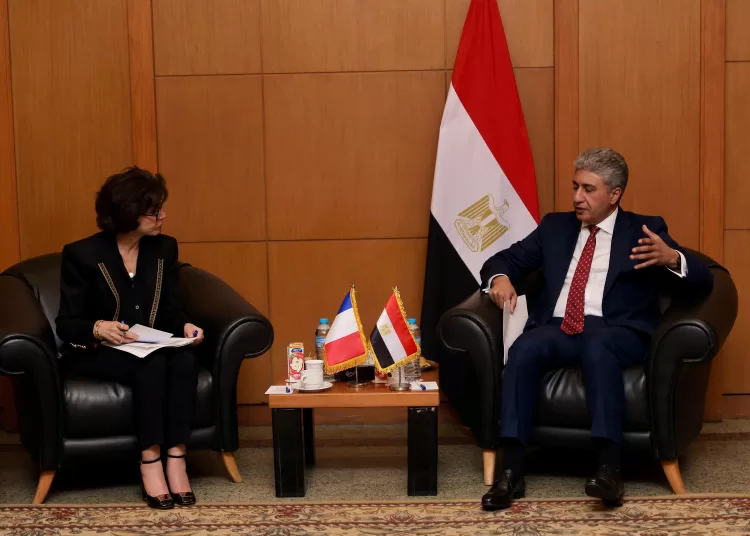 Egypt, France enhance cooperation in culture, antiquities 1 - Egyptian Gazette