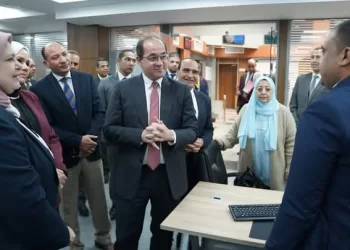 Egypt to launch flexible tax reform packages