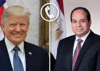 Sisi, Trump discuss regional stability, bilateral ties