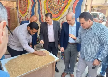 Gov’t to begin wheat procurement April 15 at EGP 2,200 per ardab