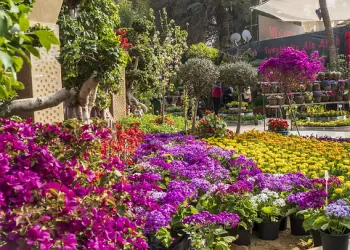 Ministers inspect final preparations for Flowers Exhibition