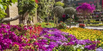 Ministers inspect final preparations for Flowers Exhibition