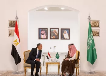 Egypt, Saudi foreign ministers discuss strengthening ties