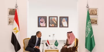 Egypt, Saudi foreign ministers discuss strengthening ties